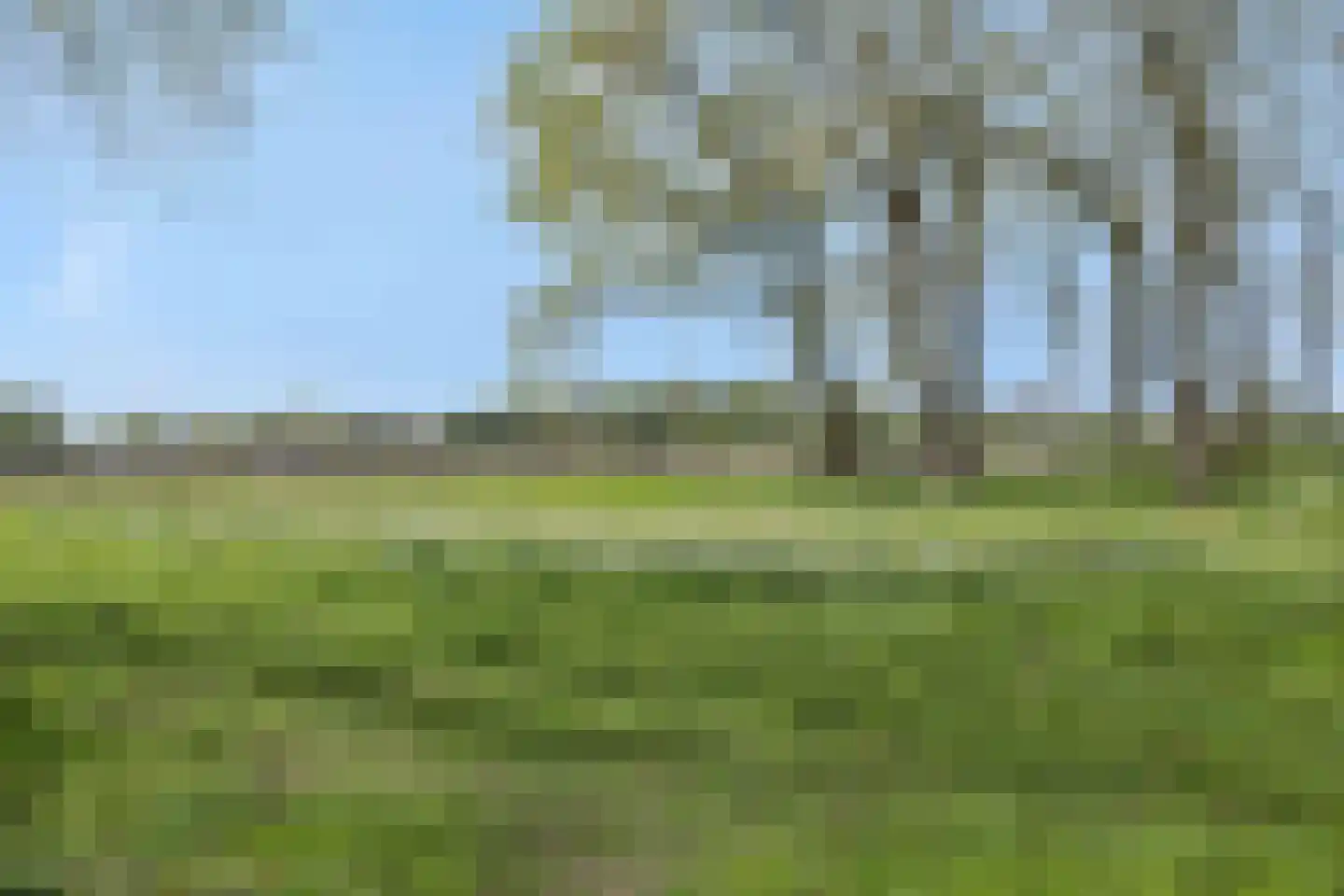 De Knolraap 37 Heesch thumbnail 46