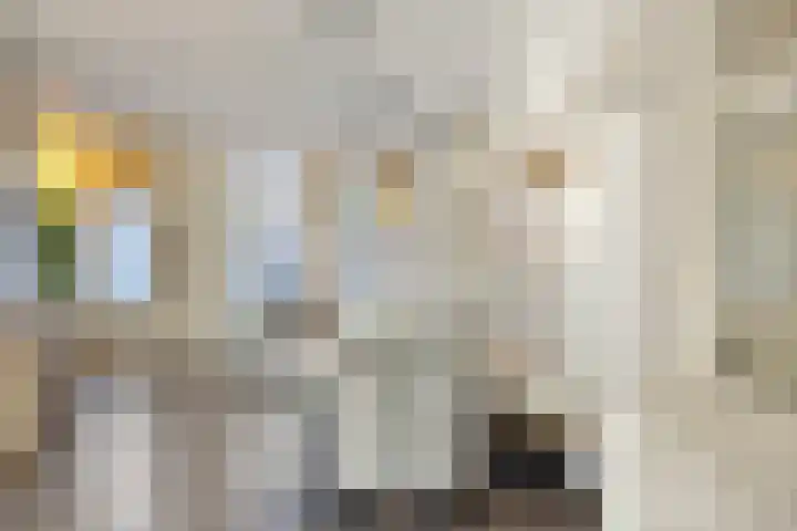De Knolraap 4 Heesch thumbnail 11