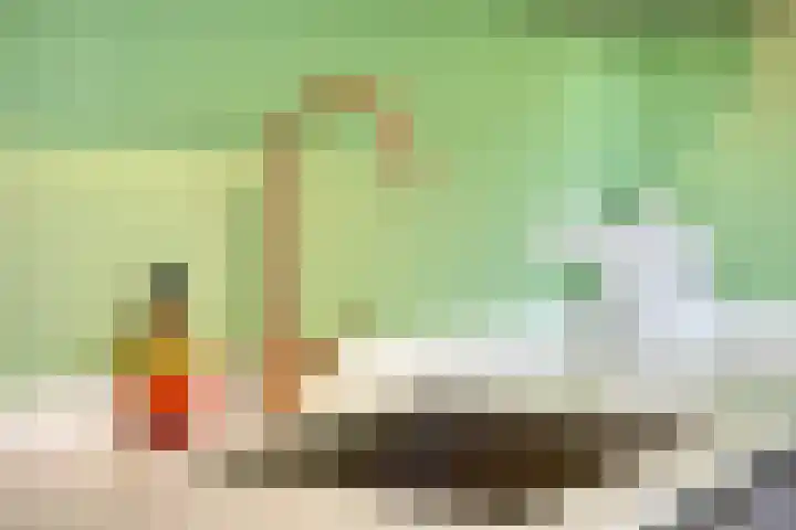 De Knolraap 4 Heesch thumbnail 14