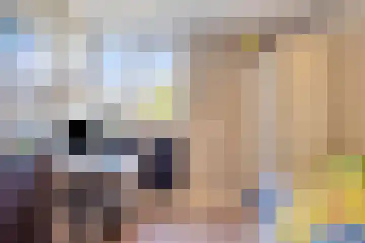 De Knolraap 4 Heesch thumbnail 21