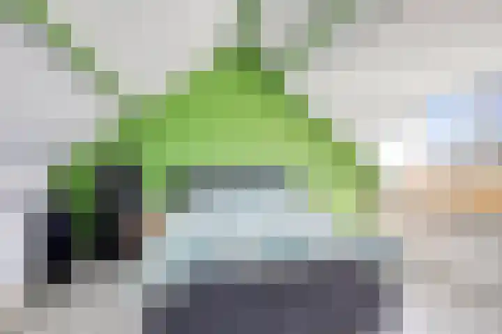 De Knolraap 4 Heesch thumbnail 27