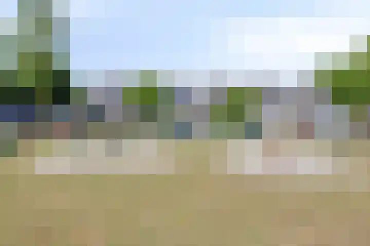 De Knolraap 4 Heesch thumbnail 35