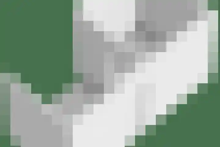 De Knolraap 4 Heesch thumbnail 45