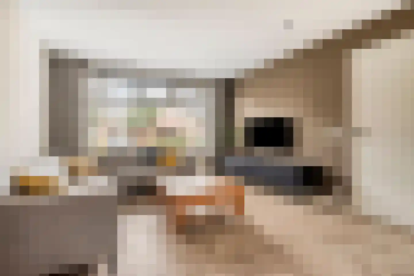 De Knolschans 11 Liempde thumbnail 15