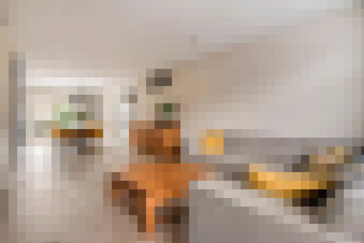De Knolschans 11 Liempde thumbnail 16