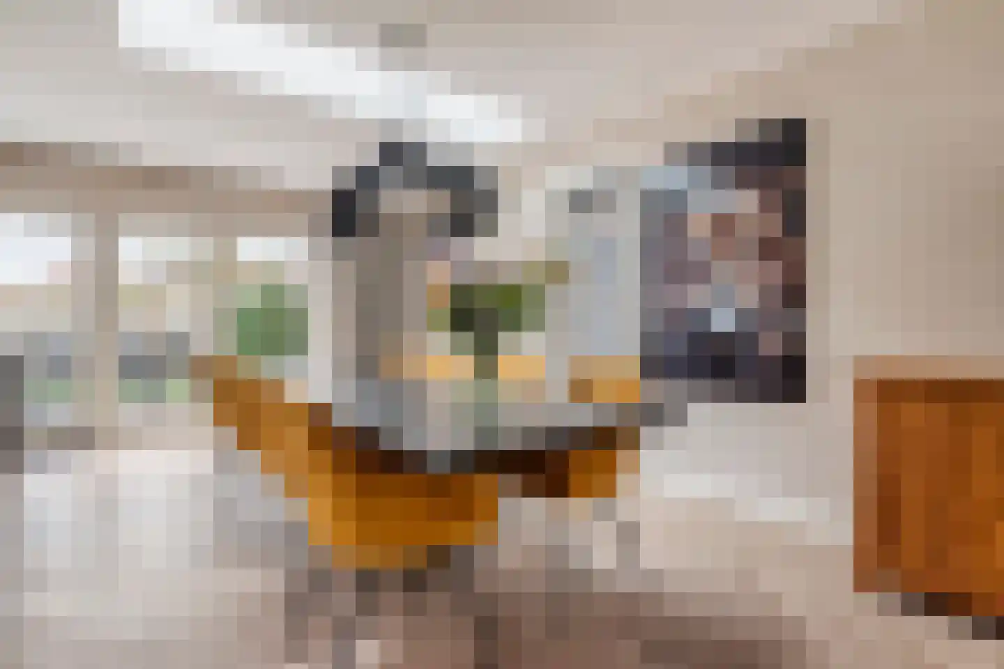 De Knolschans 11 Liempde thumbnail 21