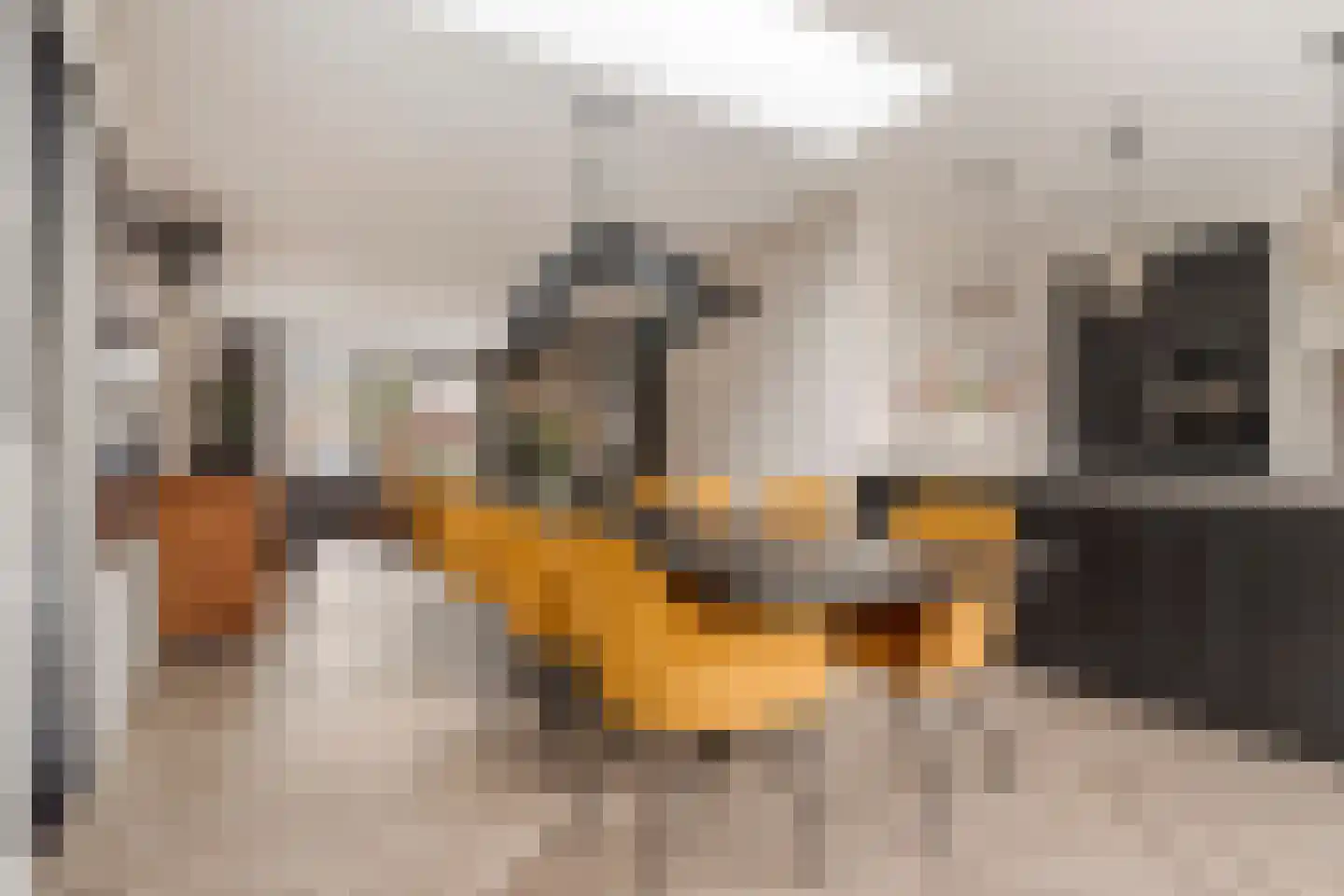 De Knolschans 11 Liempde thumbnail 22