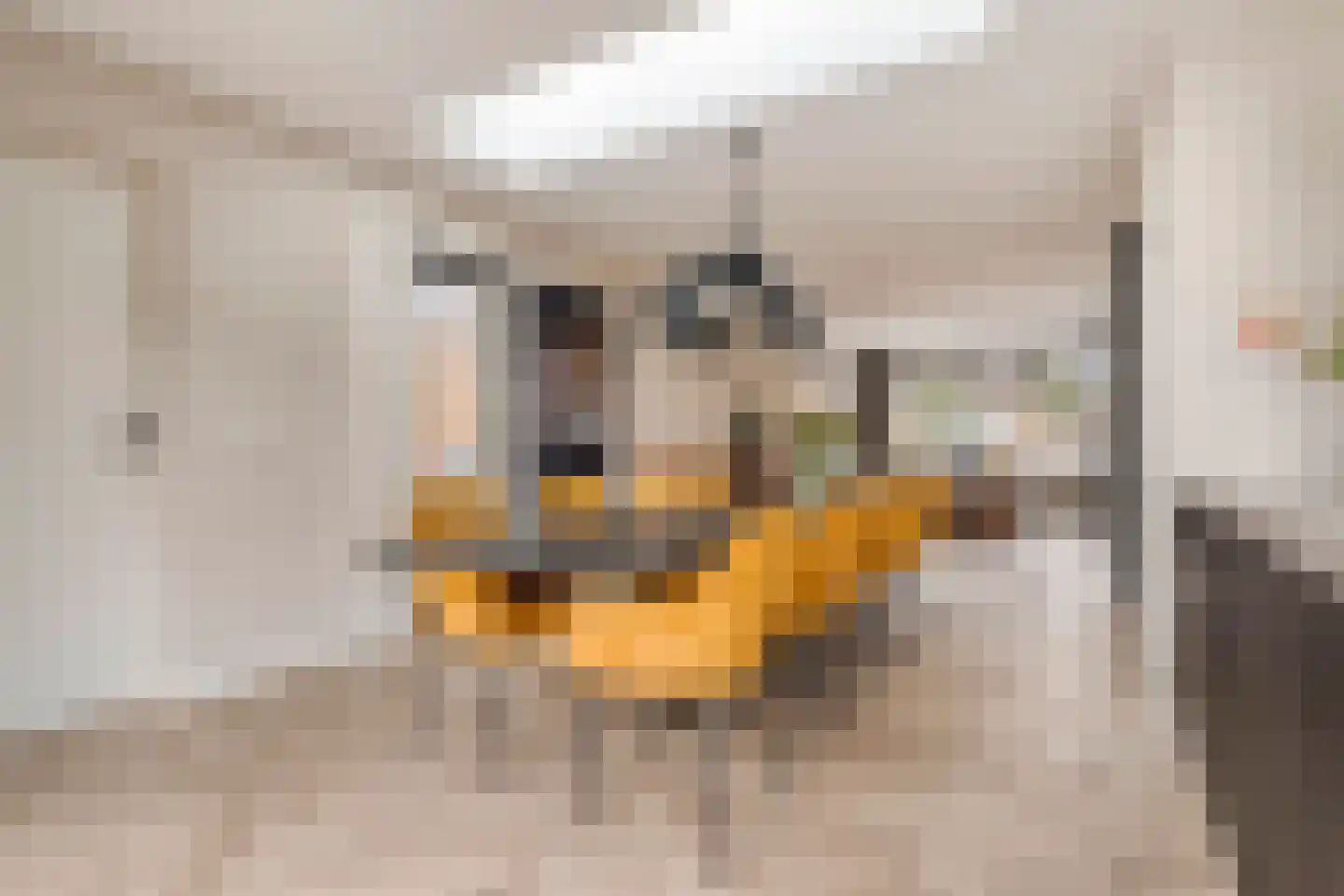 De Knolschans 11 Liempde thumbnail 23