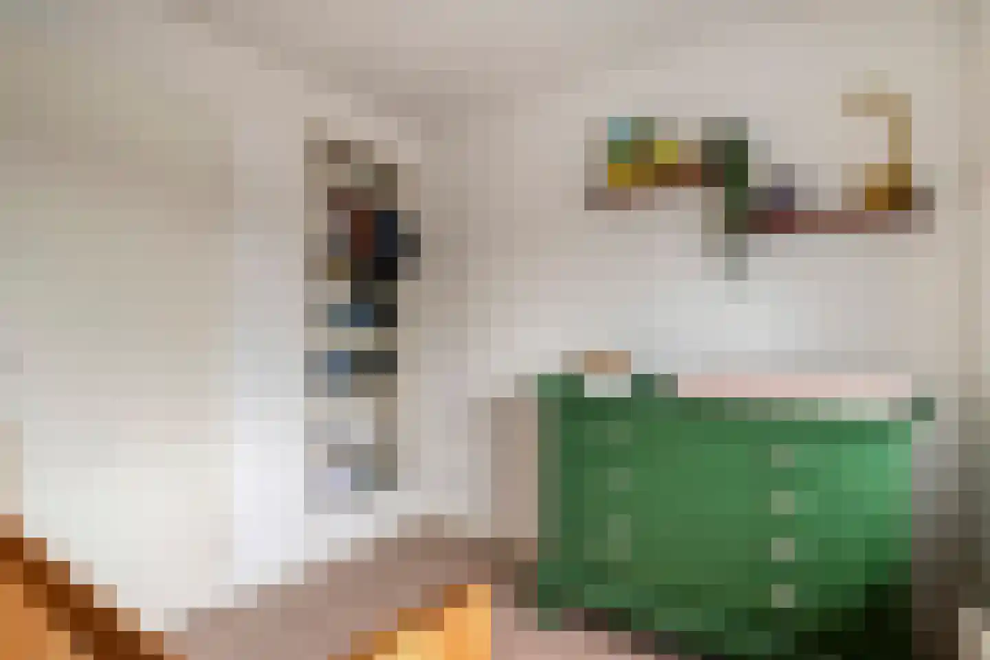 De Knolschans 11 Liempde thumbnail 40