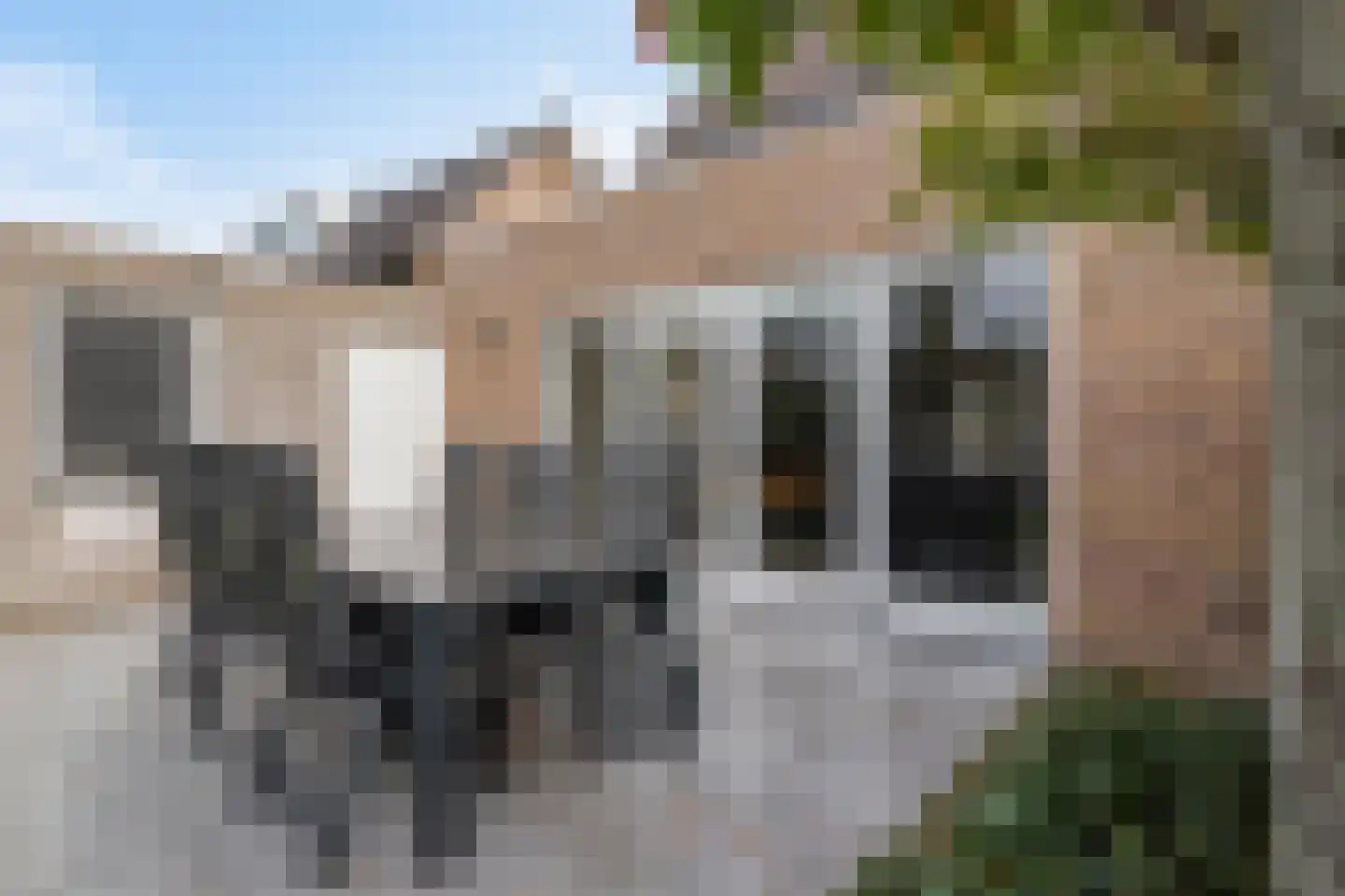 De Knolschans 11 Liempde thumbnail 51