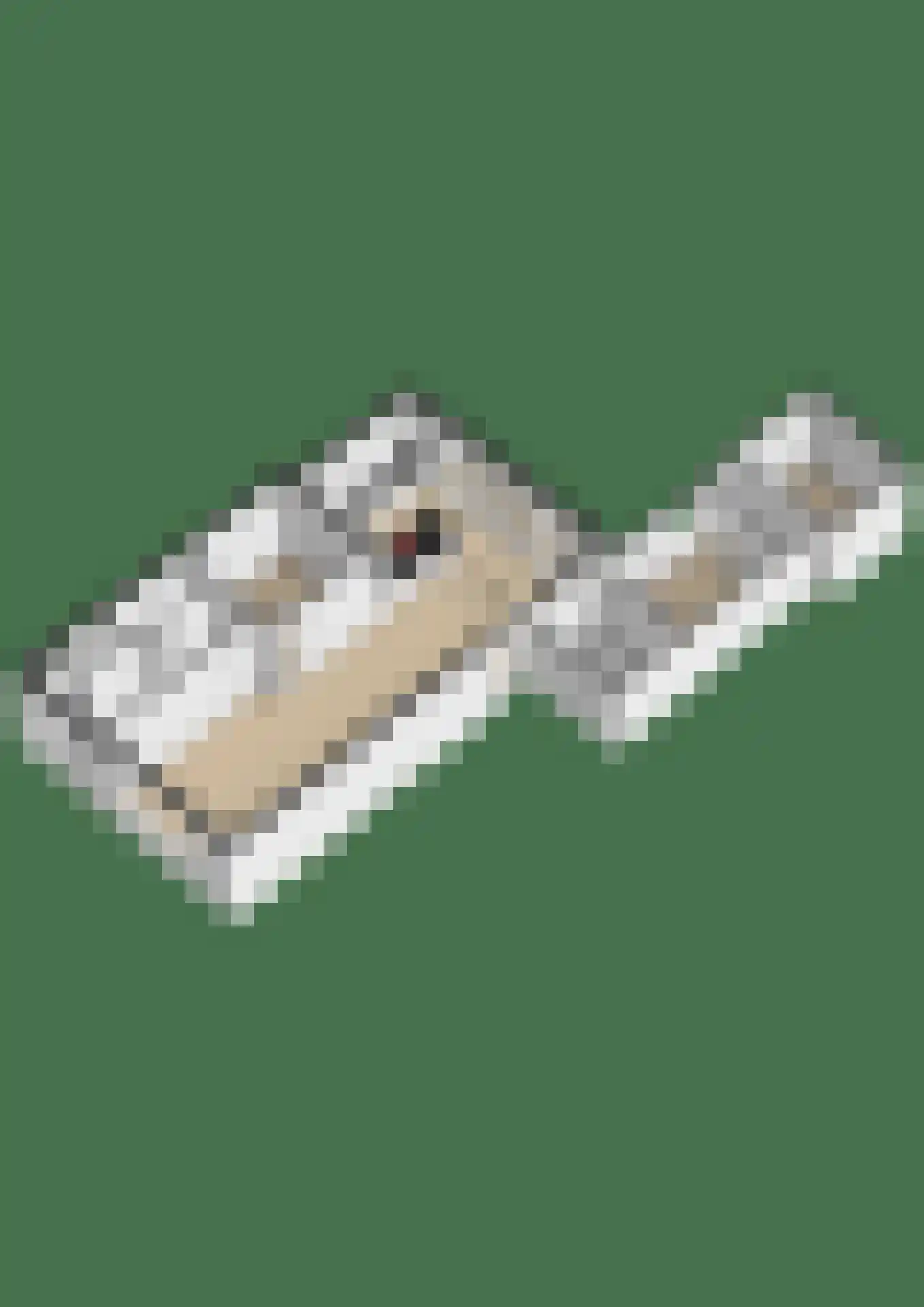 De Knolschans 11 Liempde thumbnail 63