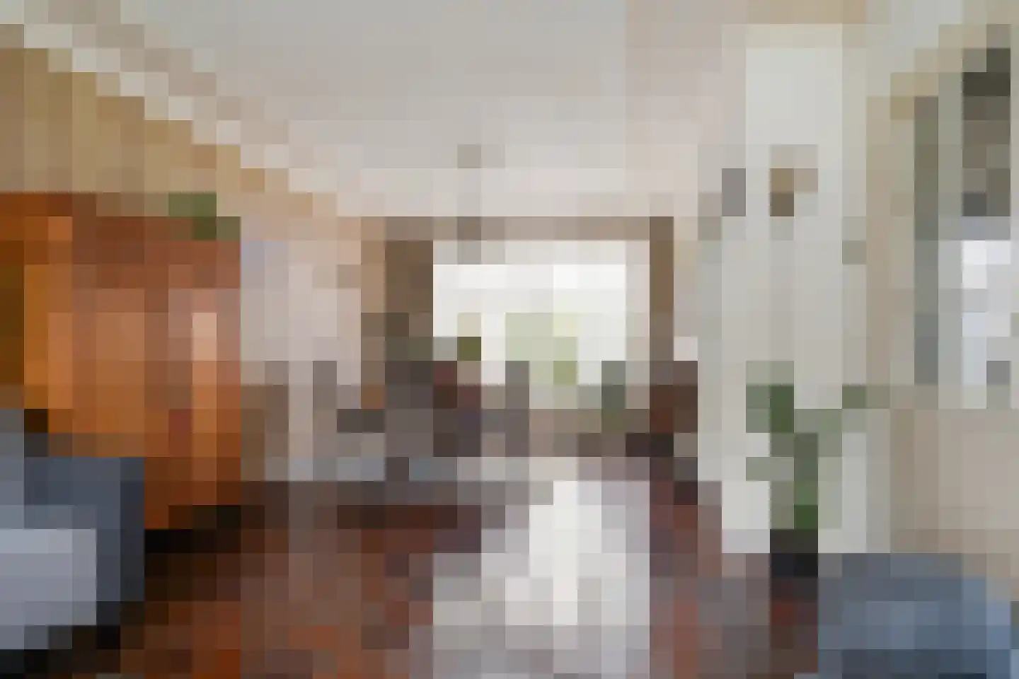 De Knolschans 17 Liempde thumbnail 12