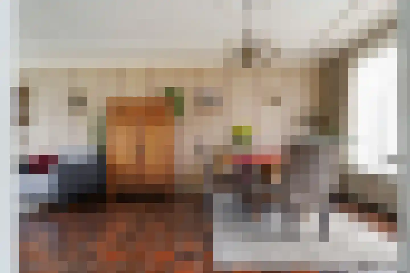 De Knolschans 17 Liempde thumbnail 14