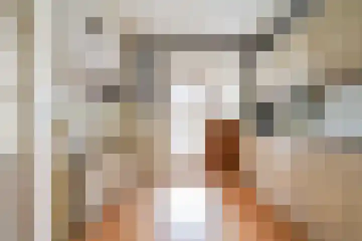 De Knolschans 17 Liempde thumbnail 17