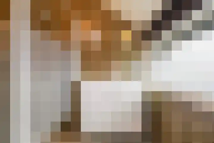De Knolschans 17 Liempde thumbnail 30