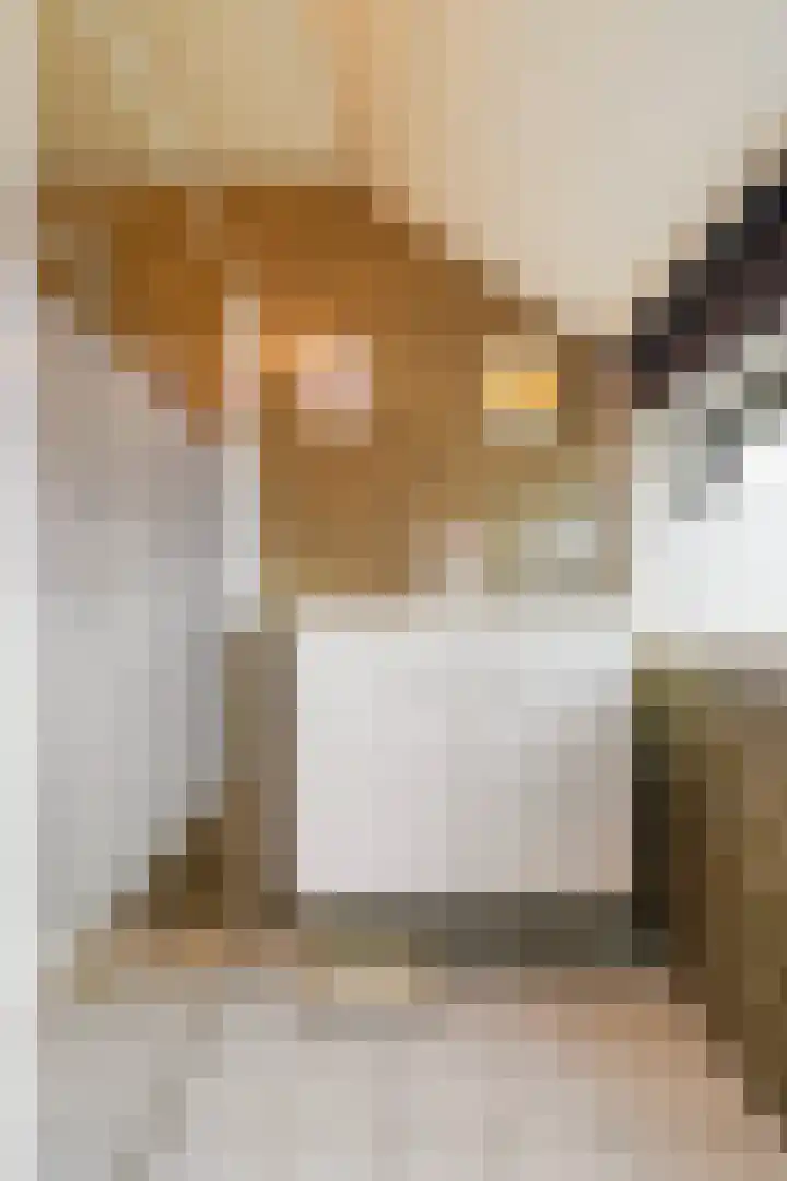 De Knolschans 17 Liempde thumbnail 31