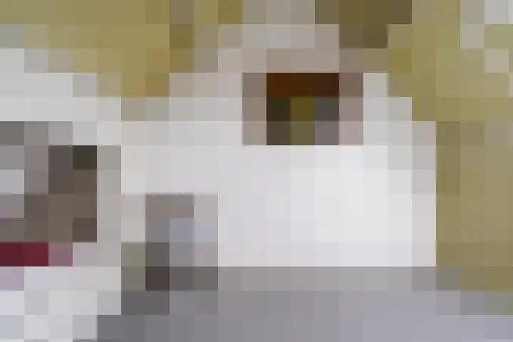 De Knolschans 17 Liempde thumbnail 36