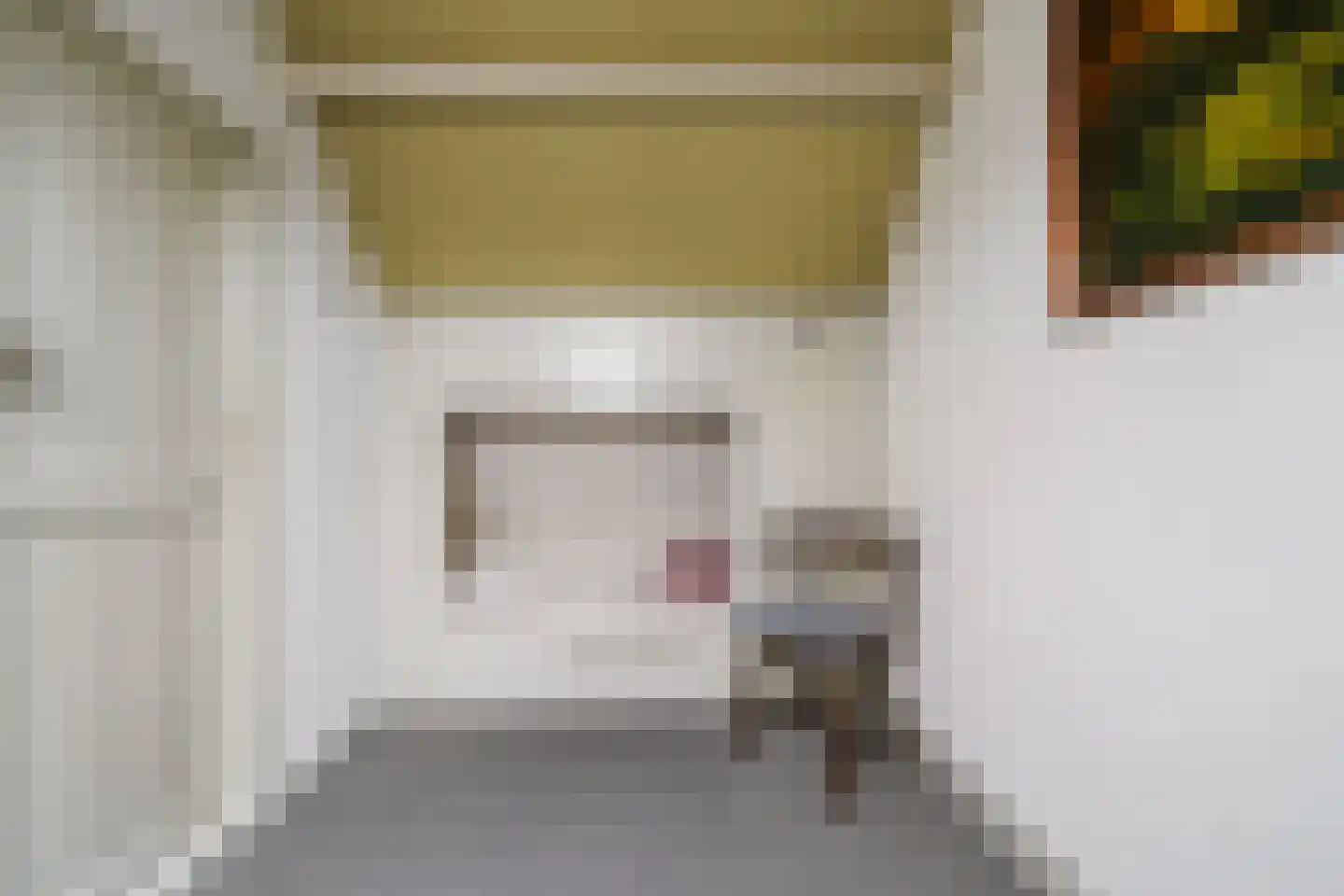 De Knolschans 17 Liempde thumbnail 37
