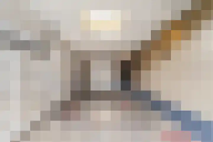 De Knolschans 17 Liempde thumbnail 39