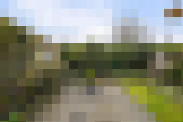 De Knolschans 17 Liempde thumbnail 42