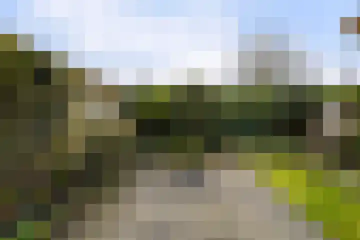 De Knolschans 17 Liempde thumbnail 43