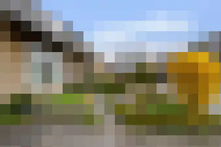De Knolschans 17 Liempde thumbnail 5