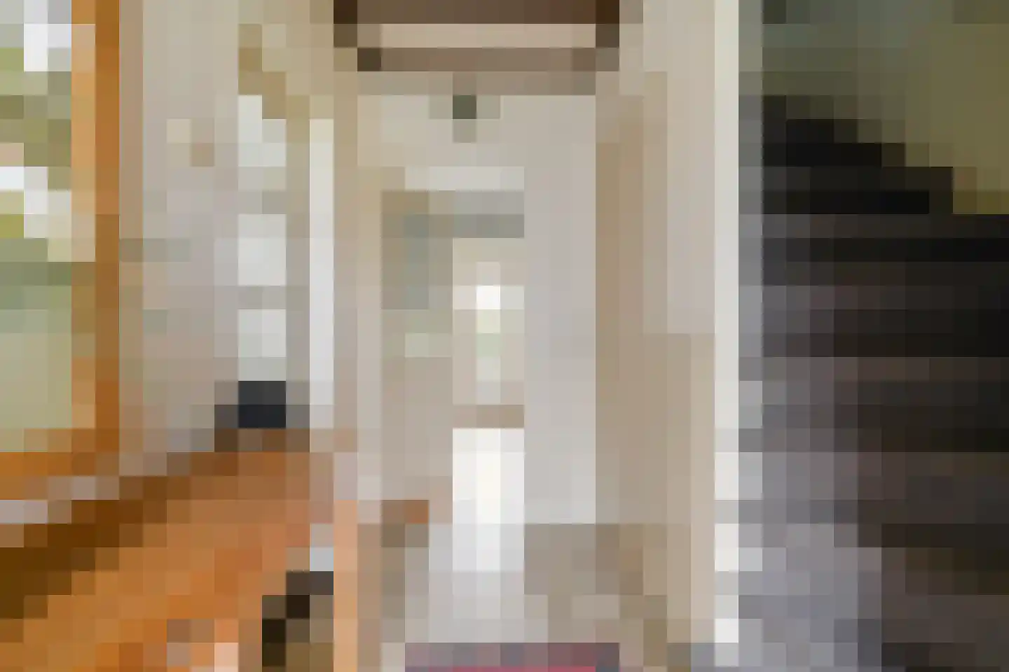 De Knolschans 17 Liempde thumbnail 8