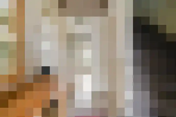 De Knolschans 17 Liempde thumbnail 8