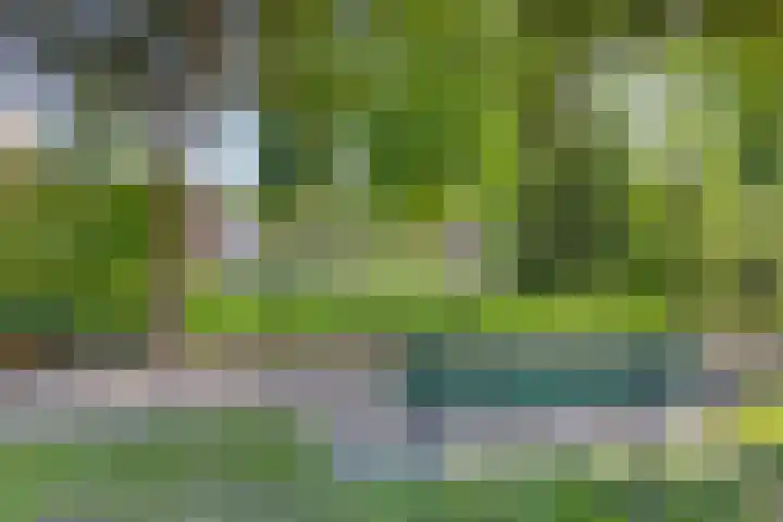 De Koamscher 7 Haaksbergen thumbnail 30