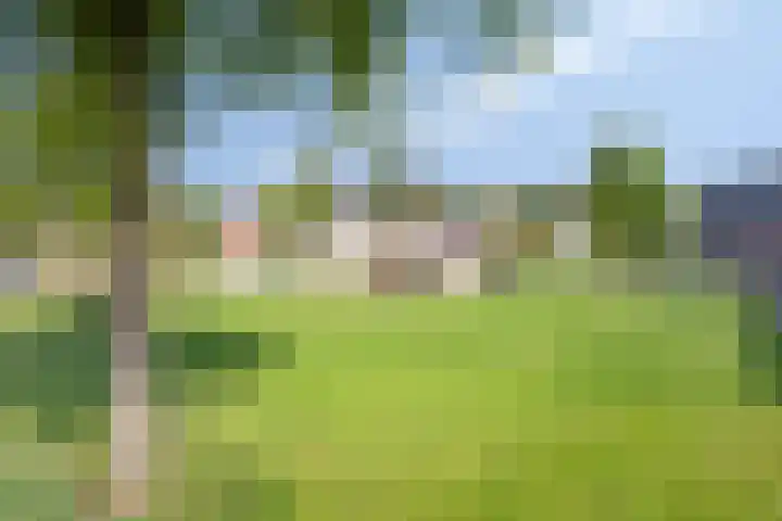 De Koamscher 7 Haaksbergen thumbnail 31