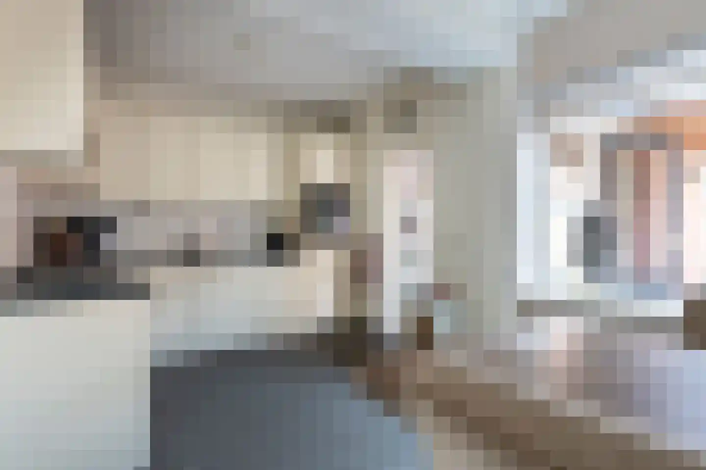De Koare 20 Nieuw-Weerdinge thumbnail 13
