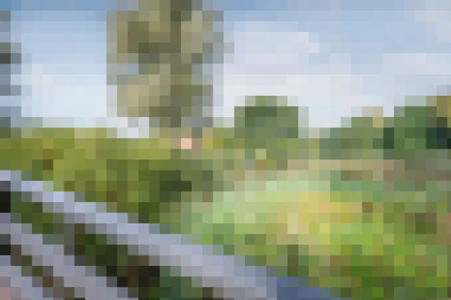 De Koare 20 Nieuw-Weerdinge thumbnail 31