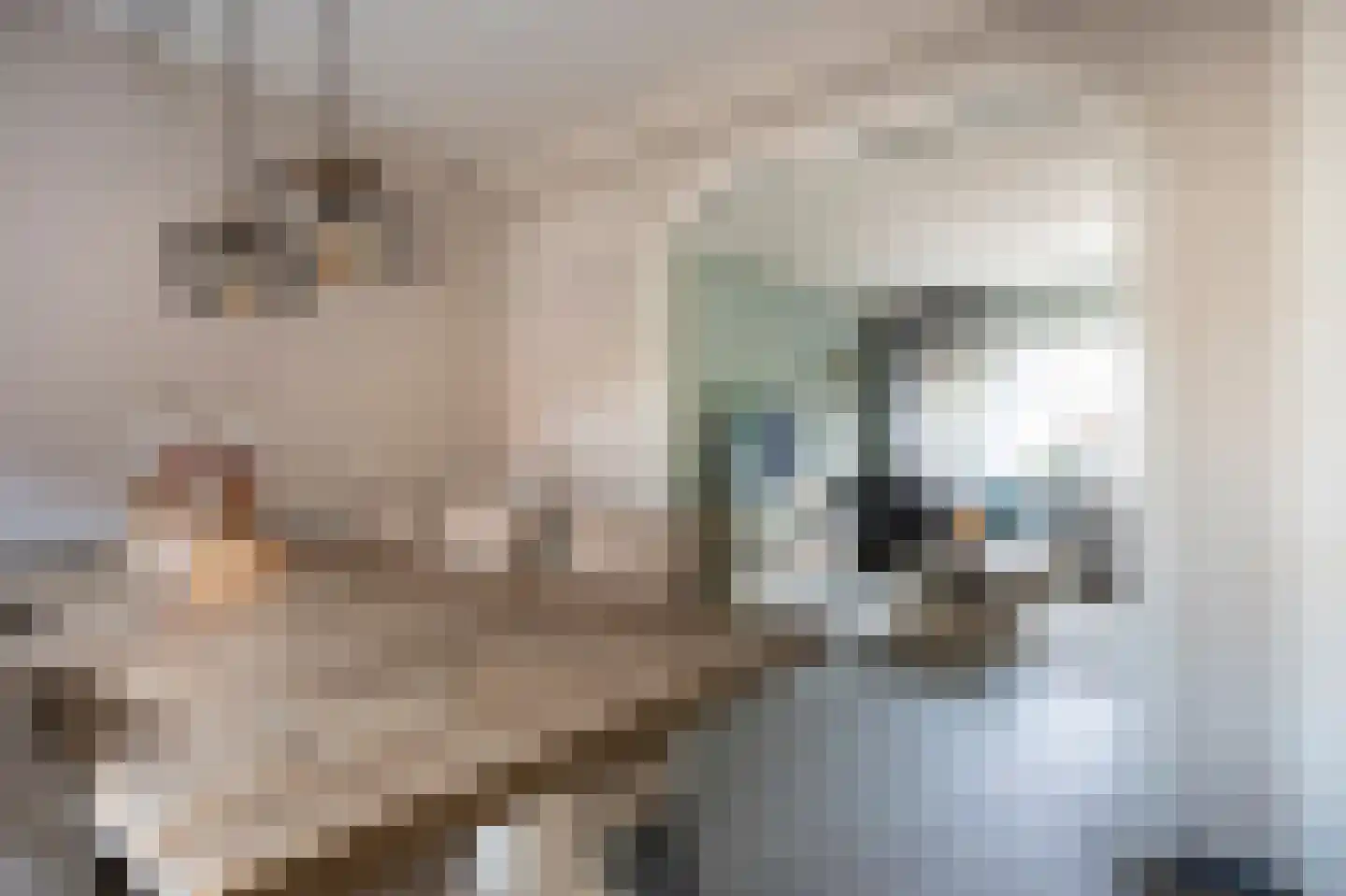 De Koare 20 Nieuw-Weerdinge thumbnail 7