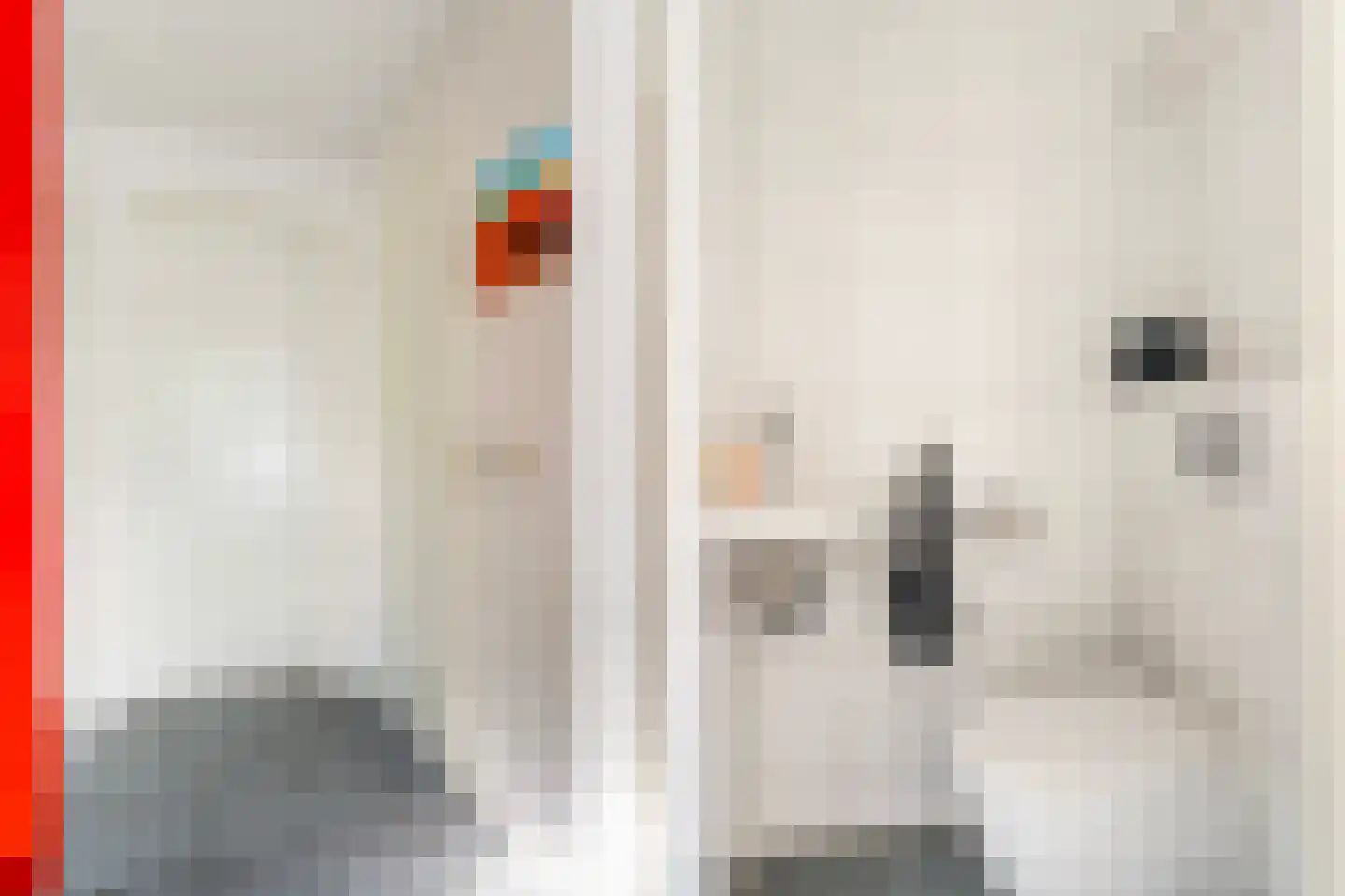 De Koarte Ekers 1 Dronryp thumbnail 10