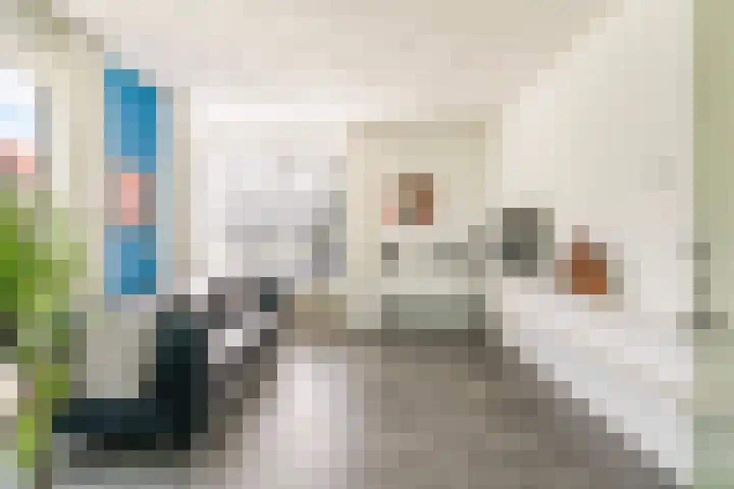 De Koarte Ekers 1 Dronryp thumbnail 11