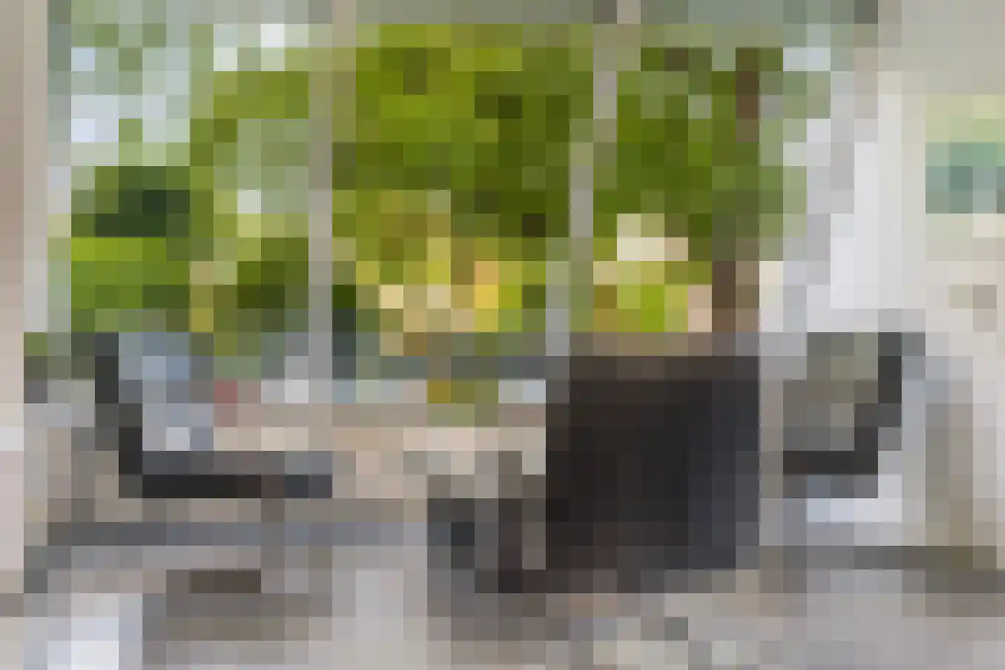 De Koarte Ekers 1 Dronryp thumbnail 13