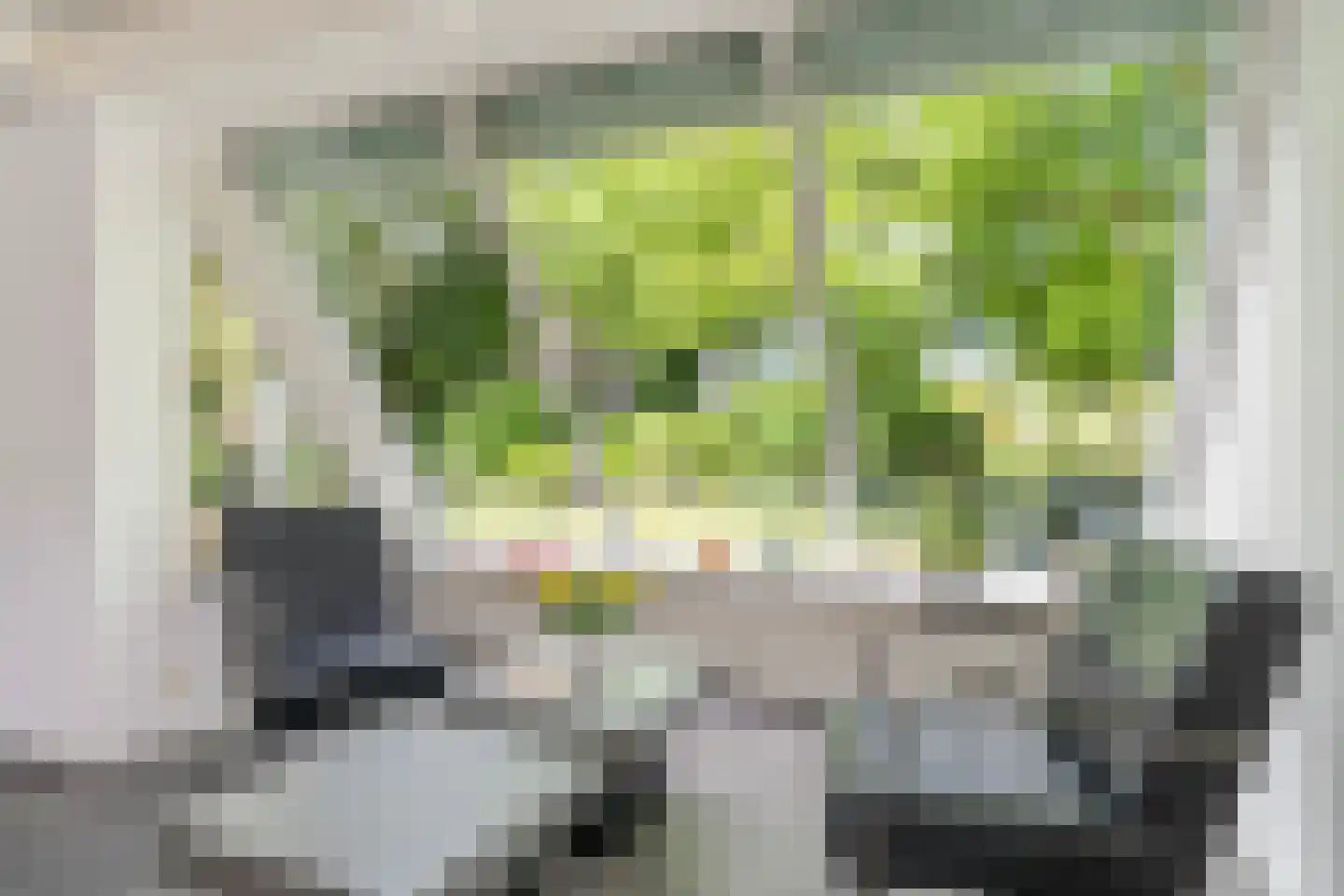 De Koarte Ekers 1 Dronryp thumbnail 14