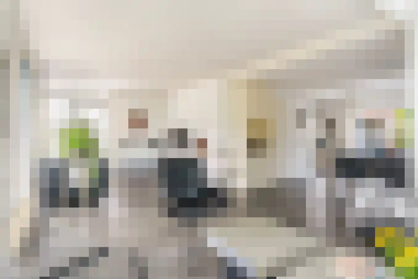 De Koarte Ekers 1 Dronryp thumbnail 15