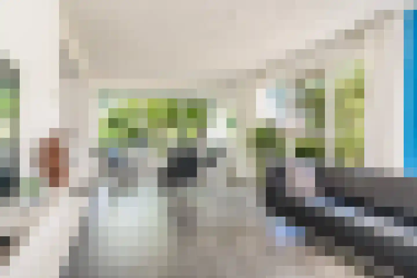 De Koarte Ekers 1 Dronryp foto 2