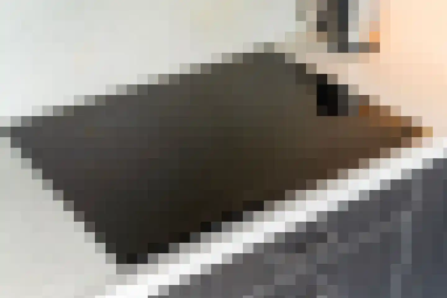 De Koarte Ekers 1 Dronryp thumbnail 21