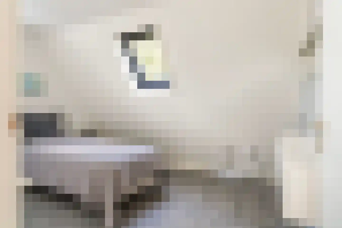 De Koarte Ekers 1 Dronryp thumbnail 29