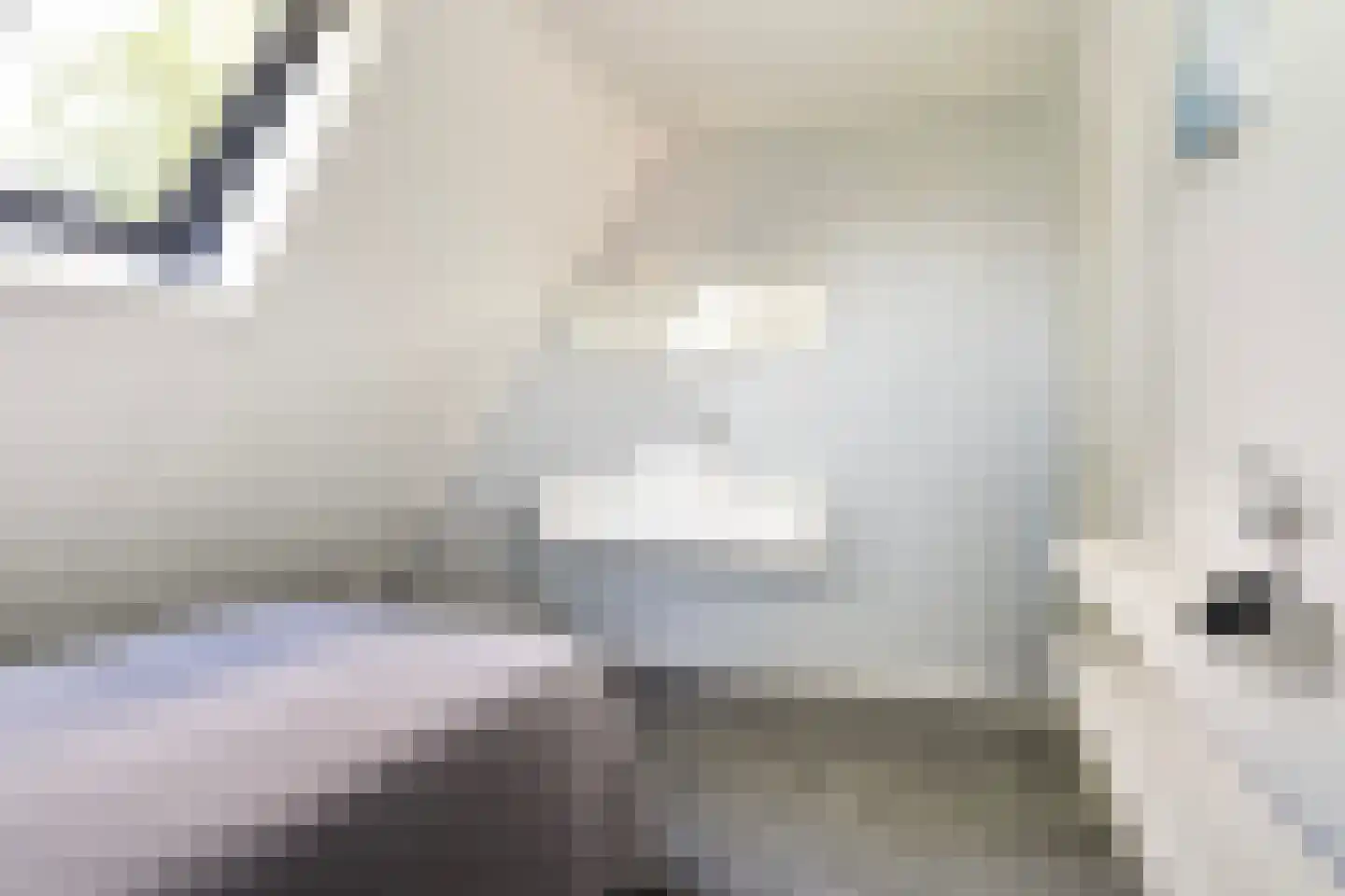 De Koarte Ekers 1 Dronryp thumbnail 30