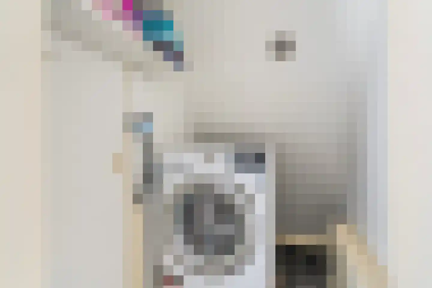 De Koarte Ekers 1 Dronryp thumbnail 32
