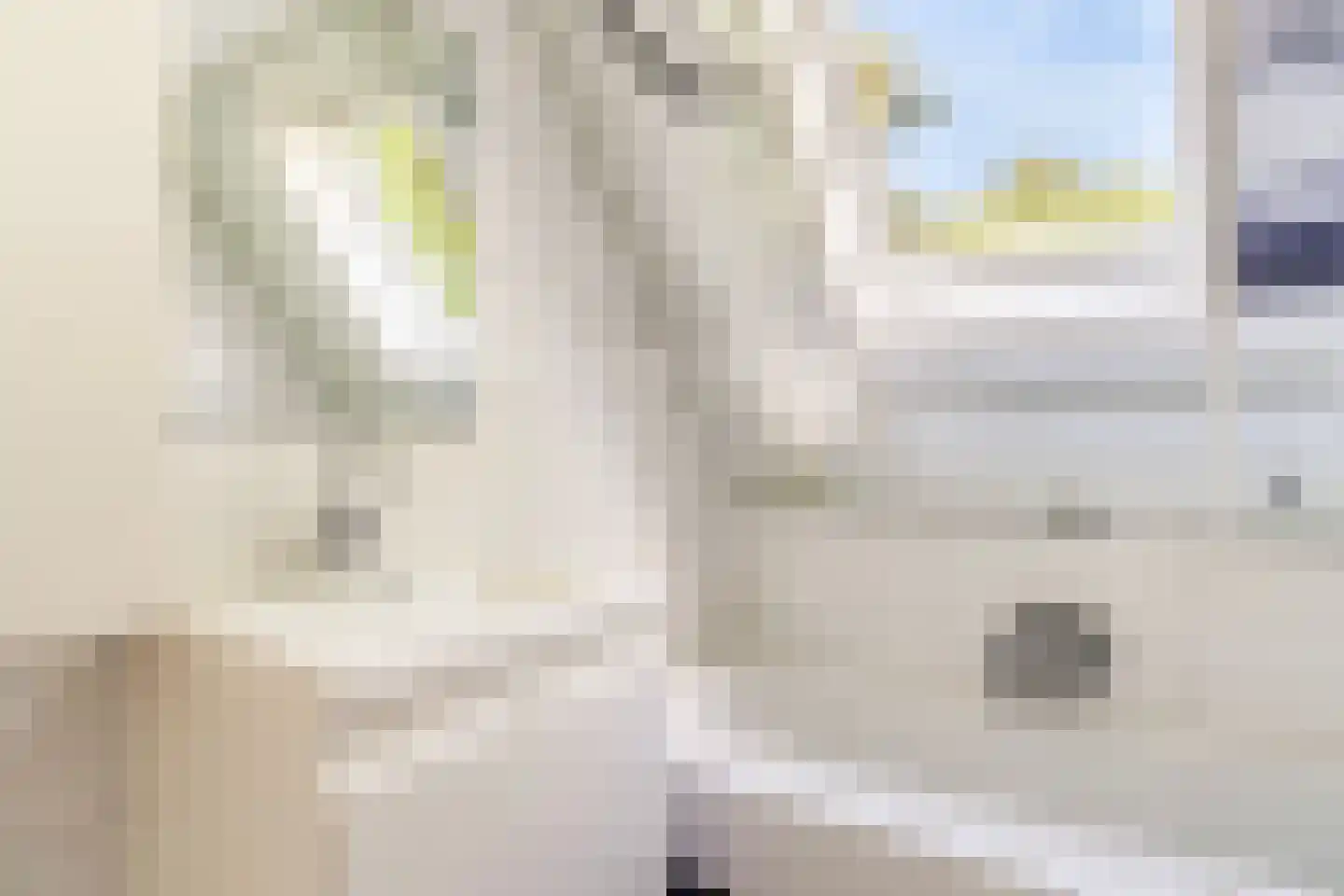 De Koarte Ekers 1 Dronryp thumbnail 35