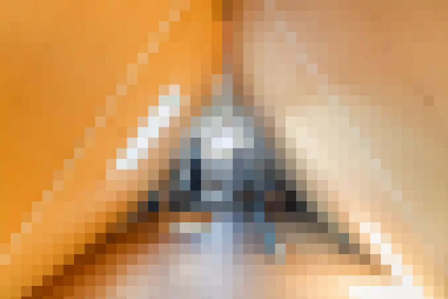 De Koarte Ekers 1 Dronryp thumbnail 36