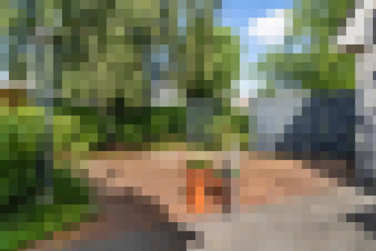 De Koarte Ekers 1 Dronryp thumbnail 44