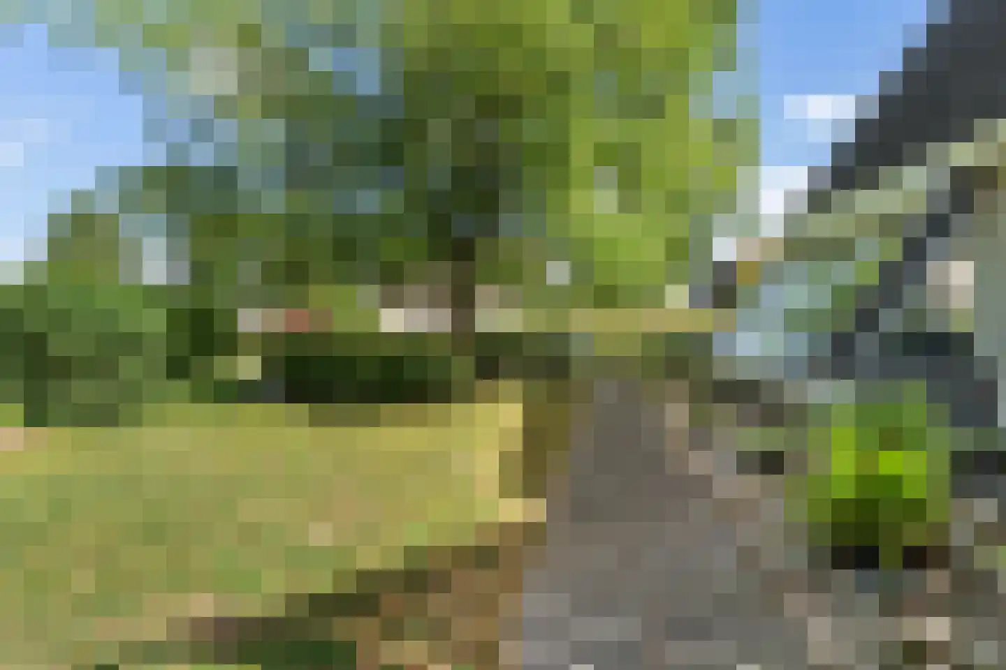 De Koarte Ekers 1 Dronryp thumbnail 46