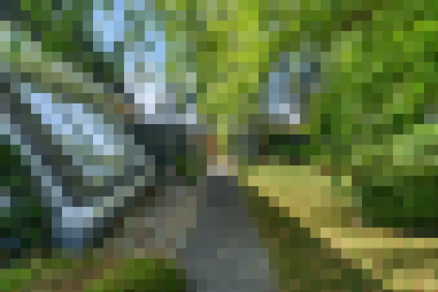 De Koarte Ekers 1 Dronryp thumbnail 47