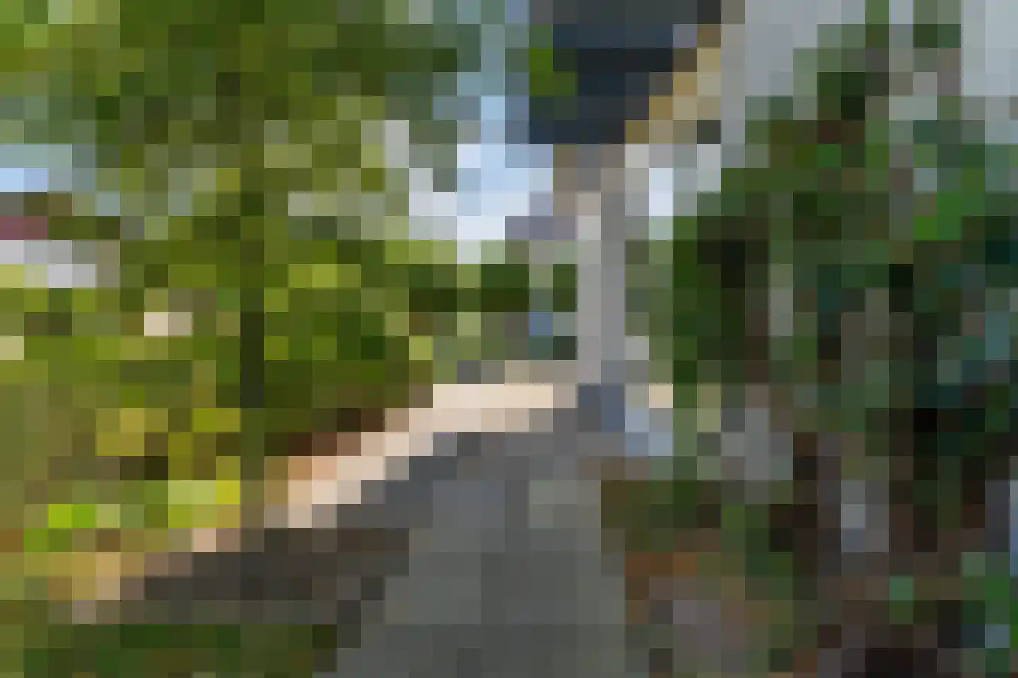 De Koarte Ekers 1 Dronryp thumbnail 48