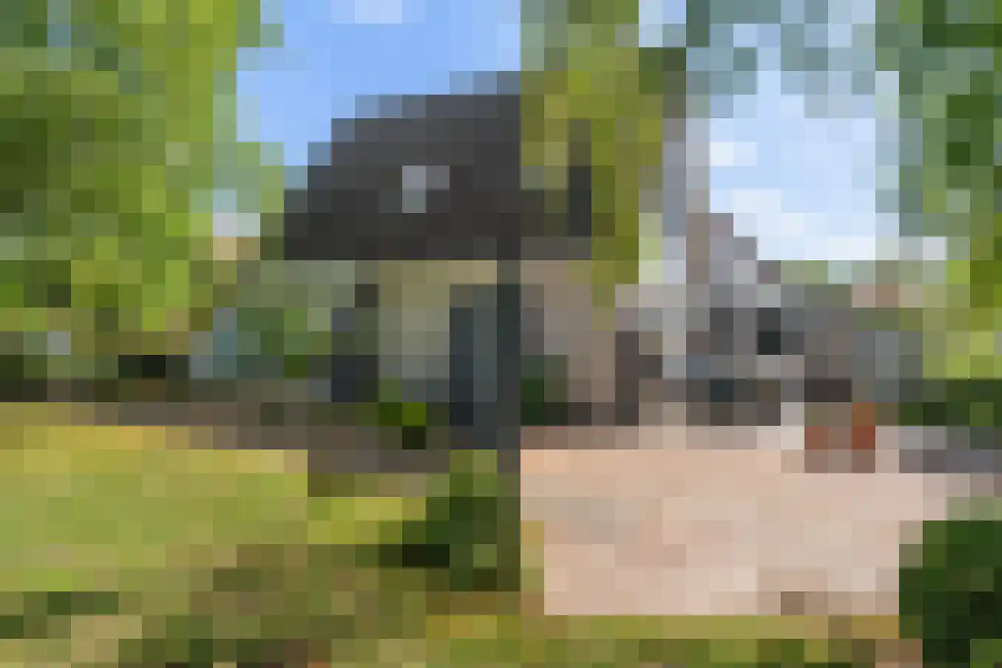 De Koarte Ekers 1 Dronryp thumbnail 49
